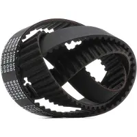 RIDEX 306T0310 Distributieriem