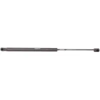RIDEX 219G0845 Gasveer achterklep