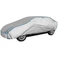 Walser, Robert 30892 Autohoes