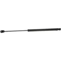 RIDEX 219G0157 Gasveer achterklep