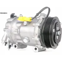 RIDEX 447K0036 Aircopomp