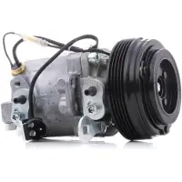 RIDEX 447K0224 Aircopomp