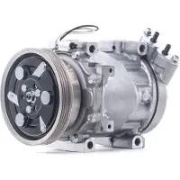 RIDEX 447K0270 Aircopomp