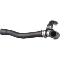 RIDEX 475R0006 Radiateurslang