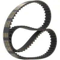 RIDEX 306T0255P Distributieriem