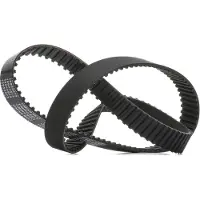 RIDEX 306T0113P Distributieriem