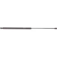 RIDEX 219G0361 Gasveer achterklep