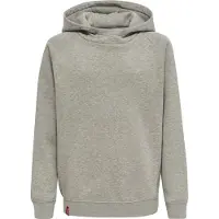 Hummel Sweatshirt 'Red Classic' grijs