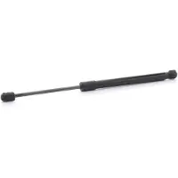 RIDEX 219G1102 Gasveer achterklep