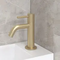Best design Toiletkraan high end mat goud