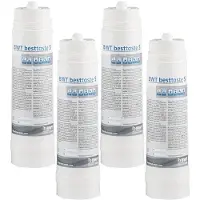 BWT Besttaste S / Besttaste 15 Waterfilterpatroon FS22A10A00