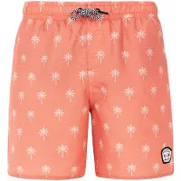 Protest prtfonz jr beachshort -