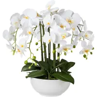 Kopu kunstbloem orchidee 54 cm met schaal phalenopsis