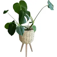 QUVIO Plantenmand op driepoot - 26 x 41,5 cm (dxh)