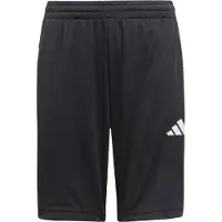 Adidas Sportbroek 'Essentials' zwart / wit
