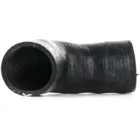 RIDEX 3314C0178 Laadluchtslang