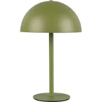 TRIO REALITY MUNOZ - Tafellamp - Groen - incl. 1x SMD 1,3 W - 4-stappen TOUCH - USB-aansluiting - Oplaadbaar - Snoerloos