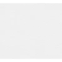 AS-Creation Vliesbehang 31601-1 Meistervlies 2020 pleisteroptiek wit 10,05x0,53 m