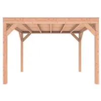 Outdoor Life Products Douglas Overkapping 350x250