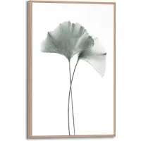 Reinders! Schilderij Ginkgo Blad 20 X 30 Cm