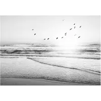 Praxis Schilderij Zonsondergang Cap Ferret - Frankrijk - Atlantische Oceaan - Strand - Slim Frame 70 X 50 Cm Mdf Zwart-wit