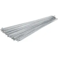Dt Swiss Doos met 100 RVS spaken 295x2