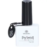 Alessandro Nagels Hybrid Soul Gel Polish Hybrid Soul Gel Polish Nr. 301 Top Coat