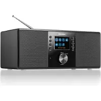 Kärcher DAB 7000i (Internet radio, DAB+, Bluetooth, WiFi), Radio, Zwart