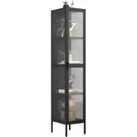 VCM Stalen vitrinekast Glazen vitrinekast Staande vitrinekast 160x30x35 Floka XL