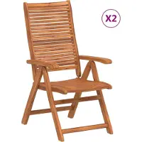 vidaXL Tuinstoelen 2 st inklapbaar verstelbaar massief acaciahout