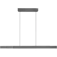 Paul Neuhaus Design hanglamp Pure Moto-Rise grijs