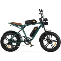 ENGWE M20 (26Ah) Elektrische Fatbike - Dubbele Accu - 20 Inch - 250W Motor - 7 Versnellingen - 150 km Actieradius - Mechanische Schijfremmen - Groen