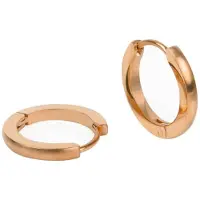 Kalli Oorringen Edelstaal Mat Rosé Goud 1847 (16mm)