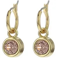 Biba 80313 Oorhangers goud Vintage Roze