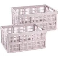PlasticForte Opvouwbare krat - 2x - roze - 48 x 35 x 24 cm - boodschappen - 32 liter - kunststof