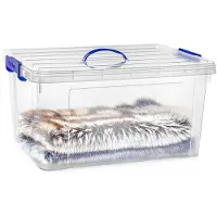 PlasticForte Opslagbox - met deksel - transparant blauw - 54 liter - 60 x 45 x 30 cm - kunststof - opbergdoos - opbergen