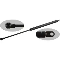 FEBI BILSTEIN 47612 Gasveer achterklep