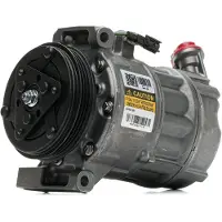 RIDEX 447K0178R Aircopomp