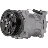 RIDEX 447K0219 Aircopomp