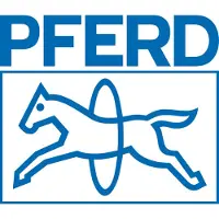 PFERD TOOLS 12808165 Naaldvijl Lengte 160 mm 12 stuk(s)