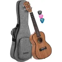 Cascha HH 2035 Premium Natural Concertukelele