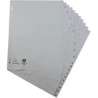Exacompta 20x Tabbladen met bedrukte tabs in gerecycled PP - 20 tabs - 1 tot 20 - A4 - Grijs - 1721E