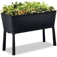 Keter Moestuinbak Easy Growing Zwart 114x49,3x75,7cm