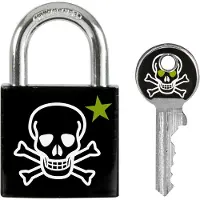 Masterlock Hangslot 30mm, bedrukt: skull - 3430EURDSKULL 3430EURDSKULL