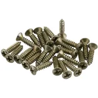 Fender Road Worn Pickguard/Control Plate Screws Nickel (24)