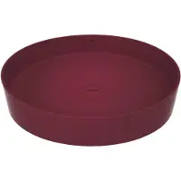 SaniGoods Alpha waskom 45cm berry