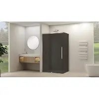 Van Rijn ST09 hoekcabine met rookglas 90x160cm geborsteld RVS