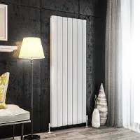 Eastbrook Guardia radiator 66x180cm aluminium 2795W wit mat