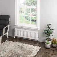 Eastbrook Type 11 paneelradiator 100x30cm 613W wit glans