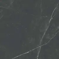 Flaviker Tegel 120 x 120 cm - Dark Stone - Keramiek - Vierkant - 2 stuks - 2,88 m2 - Marmerlook - Decortegels - Wandtegels - Tegels - 12644